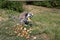 View on a katta feeding a melone on a grass area