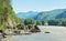 View of the Katun river, Altai. Summer greenery