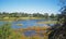 VIEW OF KAVANGO RIVER FLOWING BETWEEN CLUMPS OF GRASS