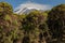 View of Kibo with Uhuru Peak kilimanjaro