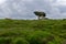 View of the Kilclooney Dolmen in County Donegal in Ireland