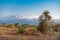 View of the Kilimandjaro mountain