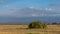 View of the Kilimandjaro mountain