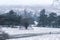 View from King Henry`s Mound in Richmond Park on a winter day