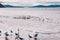 View of Kingston Beach on a cloudy winter day with people on kayaks in the water, the area is a popular suburb south of Hobart the