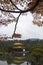 View of Kinkakuji, Temple of the Golden Pavilion buddhist temple in Kyoto