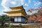 View of Kinkakuji temple in Japan