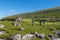 View at Kirkjubour Village from the rocky ocean cost