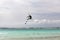 View of kite surfing at the beach of Porto Cesareo, Italy