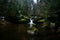 View of the Kleiner Wasserfall in the forest