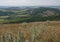 A view at Klentnice village over a meadow in Palava in the Czech Republic