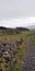 View From Knocknarea Over Irish Countryside and Farmland