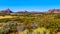 View of the Kolob Plateau and Pine Valley in the Zion National Park, Utah, United States