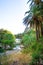 View of Kourtaliotis river and canyon near Preveli beach at Libyan sea, river and palm forest, southern Crete.