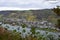 View from Krahnenberg Andernach to Leutesdorf in autumn