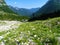 View of Krnica valley in Julian alps and Triglav national park, Slovenia