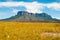 View of Kukenan Tepui, Gran Sabana, Venezuela