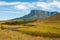 View of Kukenan Tepui, Gran Sabana, Venezuela