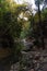 View of Kziv Stream at the end of the Black marked trail, Montfort Nahal Kziv National park, Ein Tamir, Ein Hardalit