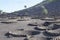 View of La Geria, the vinegrowing region of Lanzarote, Spain