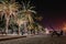 View of La Spezia harbor at night, beautifully lit palm trees.