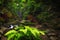 View of Labuhan Kebo Waterfall located in Munduk, Bali