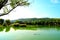 View from Lago Azzurro with many ducks swimming in the lake, a tree in the foreground and a green spur