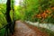 View from Lago di Boccafornace in Pievebovigliana, Valfornace (Macerata) with foliage, path, slope, fence