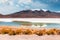 View of lagoon and volcanoes in Altiplano plateau, Bolivia