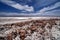 View of Laguna Tebinquiche in Atacama desert, Chile.View of Laguna Tebinquiche in Atacama desert, Chile.v