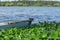 View of lake, aquatic vegetation and old wooden fishing boats on the banks