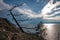 View of Lake Baikal with a tree on the very edge of a rocky cliff