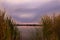 View of the lake from behind the reeds. Sunrise behind the reeds.