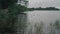 View of the lake on a cloudy summer day. Children from a wooden bridge throw bread, feed ducks and seagulls. Around the forest of