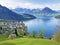 View of Lake Lucerne or Vierwaldstaetersee with Vitznau settlement and Swiss Alps in the background