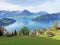 View of Lake Lucerne or Vierwaldstaetersee with Vitznau settlement and Swiss Alps in the background