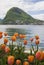 View of Lake Lugano and the Alpine mountains, blooming tulips in the front.