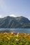 View of Lake Lugano and the Alpine mountains, flowers in the front and a rainbow in the center.