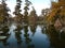 View of Lake Martin, Louisiana.