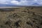 View on lake Natron