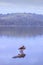 View of Lake Nyabikere, with and the reflections on the water at sunrise with hammerkop bird sitting on log, Rweteera