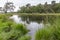 View on the Lake `Patersmoer` near Strijbeek, Netherlands