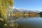 View of Lake Ritzensee on a sunny autumn day in Saalfelden with reflection of the Steinernes Meer. Saalfelden, Pinzgau, Salzburg