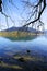 View from the lake shore with  bare branches over a blue mountain lake with  mountains under a blue sky