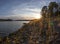 View of the lake with sunset. Pine trees and plants.