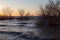 View of a lake at sunset, with skeletal trees, waves and warm co