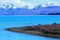 View of Lake Tekapo with colorful lupins, New Zealand, South Island