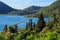 View of Lake Tikitapu, New Zealand, from a nearby hill