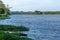 View of lake with trees, aquatic vegetation and wooden fishing boats on the banks, in Pateira de Fermentelos, Portugal