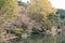 View of a lake and trees during autumn in Shinjuku Gyoen National Garden, Tokyo, Japan.